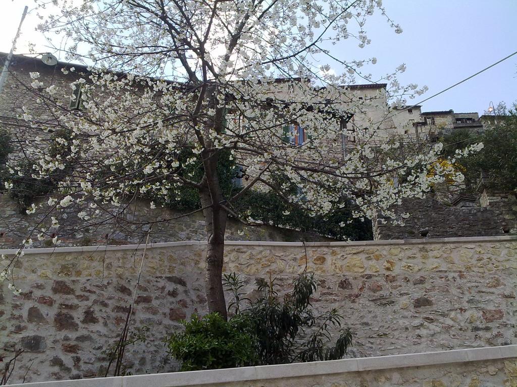 Il Paradiso Nel Borgo Arrone Dış mekan fotoğraf